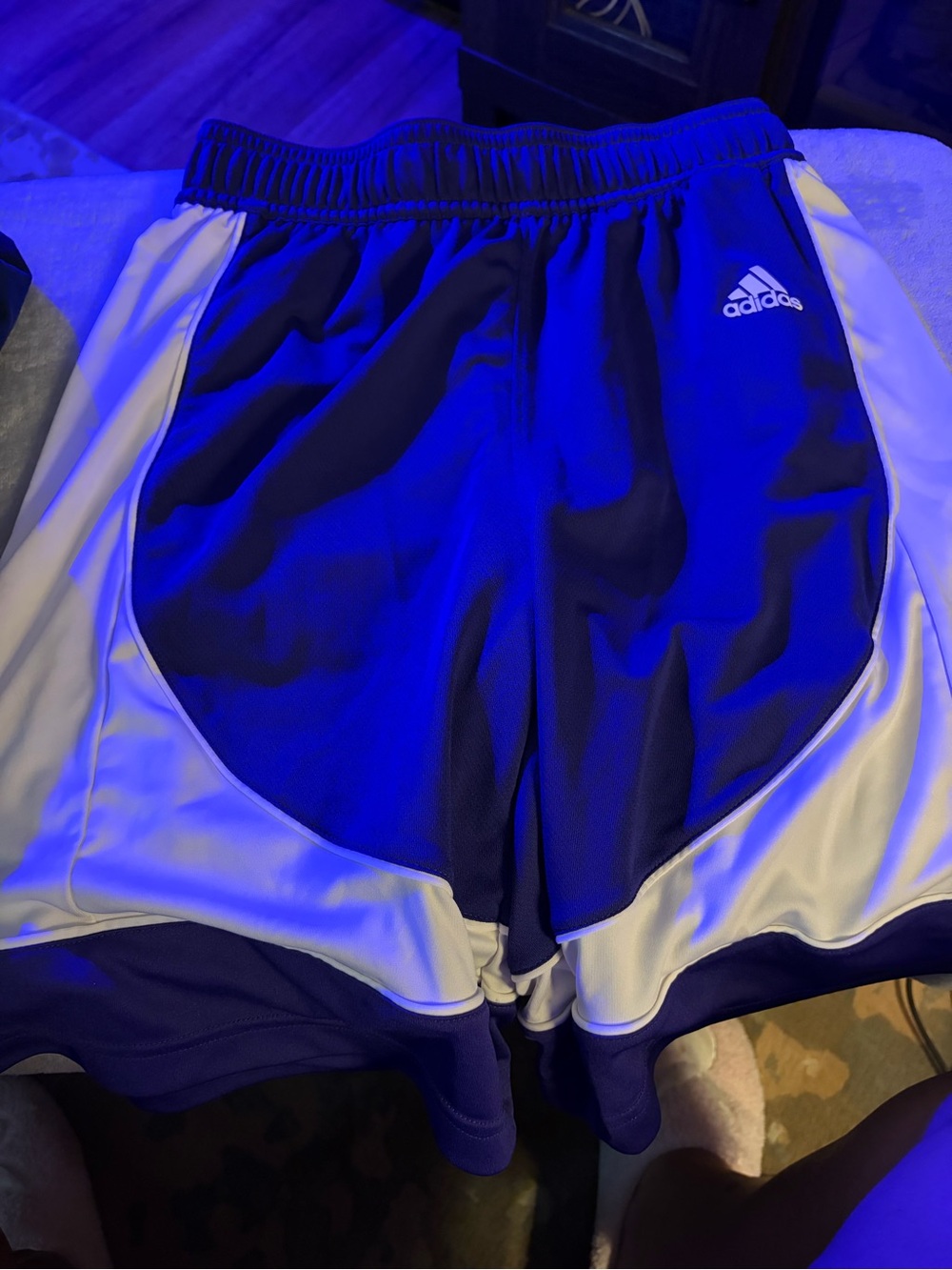 adidas Blue and White Performance Shorts